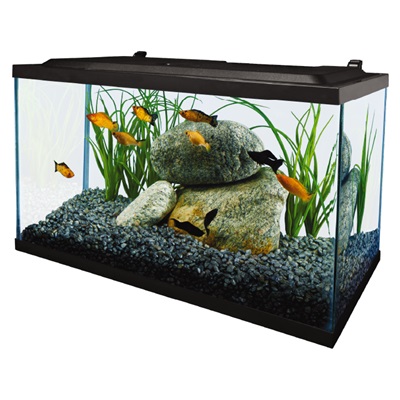 10-Gallon Full LED Aquarium Set