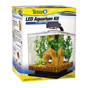 1.5-Gallon LED Dice Aquarium