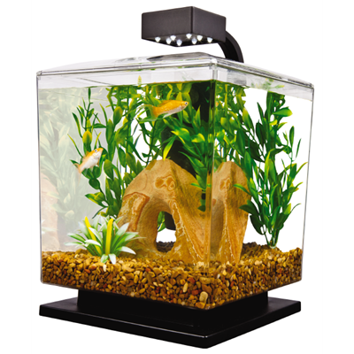 1.5-Gallon LED Dice Aquarium