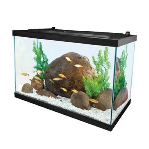 20-Gallon Full LED Aquarium Set