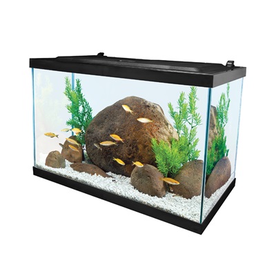 20-Gallon Full LED Aquarium Set