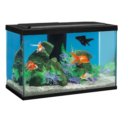 20-Gallon Goldfish LED Lighting Package