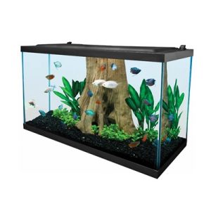 29-Gallon Full LED Aquarium Set