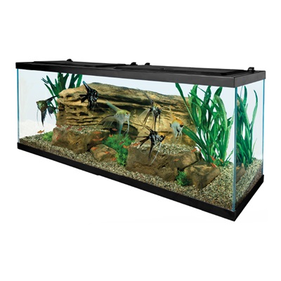 55 Gallon Full LED Aquarium Set