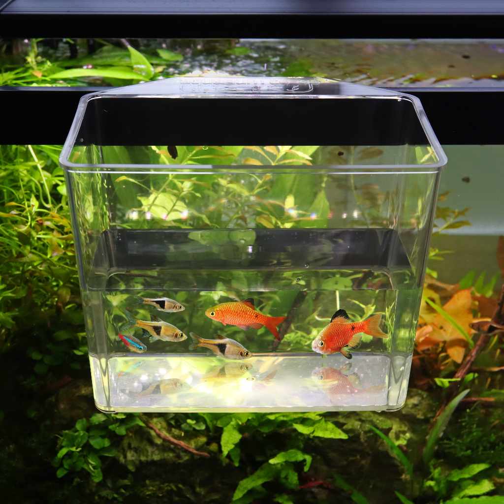 Aquarium Co-Op Indestructible Catch Cup