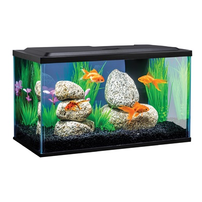 LED Aquarium Package for Goldfish